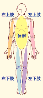 部位